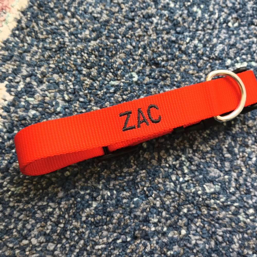 L. L. Bean dog collar